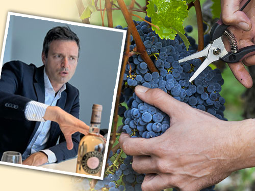 手摘み